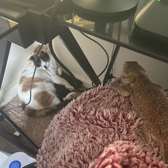 Meet Ashley and Welcome to my Closet! - Picture 9 of 10